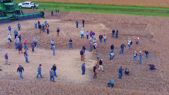 Participants at a past Soybean Harvest Field Day walk a field and measure header loss.